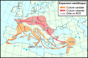 Expansion néolithique de la culture cardiale et rubanée en Europe
